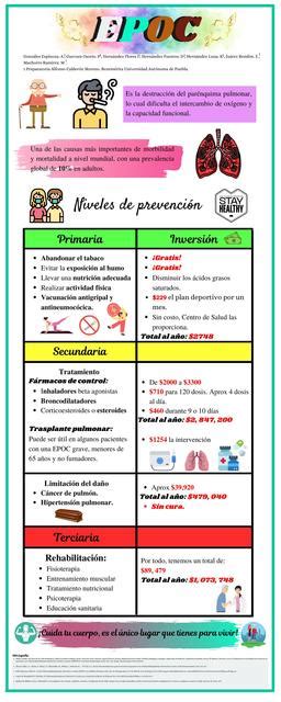 Enfermedad Pulmonar Obstructiva Cr Nica Hinami Chan Udocz