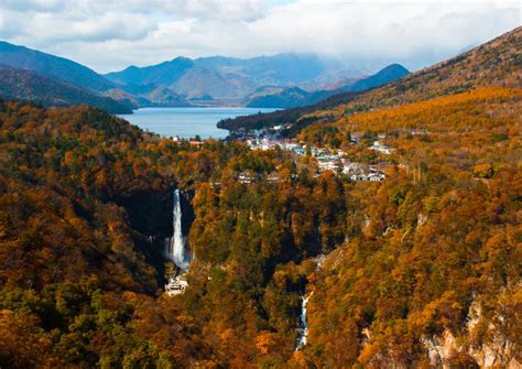 Nikko: An Autumn Paradise Close to Tokyo - Japanspecialist