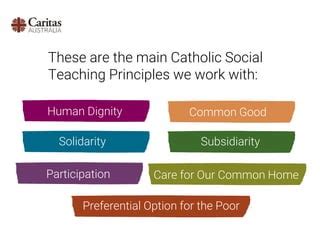 cstprinciplesprimary pptx