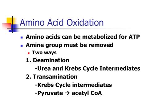 Ppt Protein And Amino Acids Powerpoint Presentation Free Download Id 658100