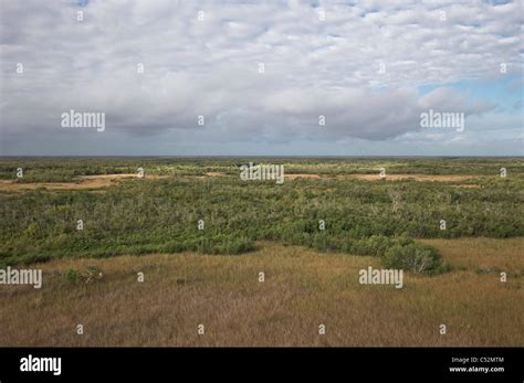 Enp Everglades National Park Stock Photo Alamy