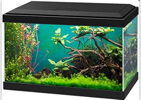 Askoll Acquario Aqua Nero X X Con Led E Filtro Litri