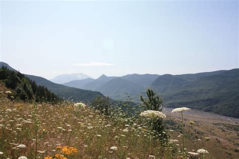 Mount St Helens Spirit Lake Memorial Highway To Johnston Ridge