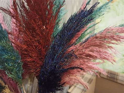 Rainbow Pampas Grass Mix Multi Color Dried Flower Wedding Etsy