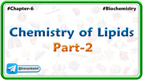 Chapter 6 Lipids Chemistry Of Lipids Part 2 Hindi Youtube