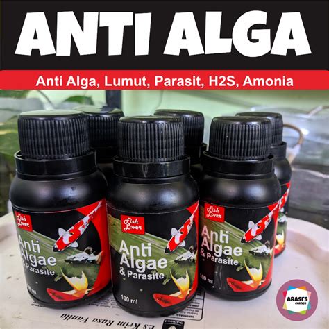 Jual Obat Anti Alga Lumut Parasit Ikan Aquarium Kolam Shopee Indonesia