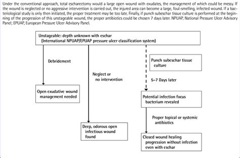 Treatment Options For An Unstageable Pressure Ulcer Download