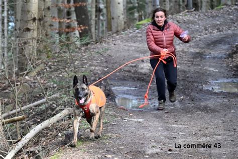 Beauzac des chiens et leurs maîtres testent le mantrailing la