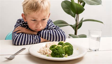 Descubre Las Causas Por Las Que Los Niños No Quieren Comer Doncomo ️