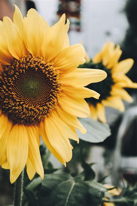 Bokep+Barat+Full+Hd Photos, Download The BEST Free Bokep+Barat+Full+Hd