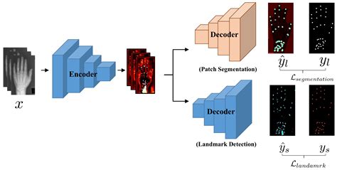 Electronics Free Full Text Anatomical Landmark Detection Using A