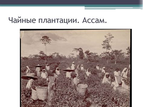 Новая история стран Азии и Африки - презентация онлайн