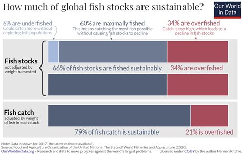 Overfishing Graph