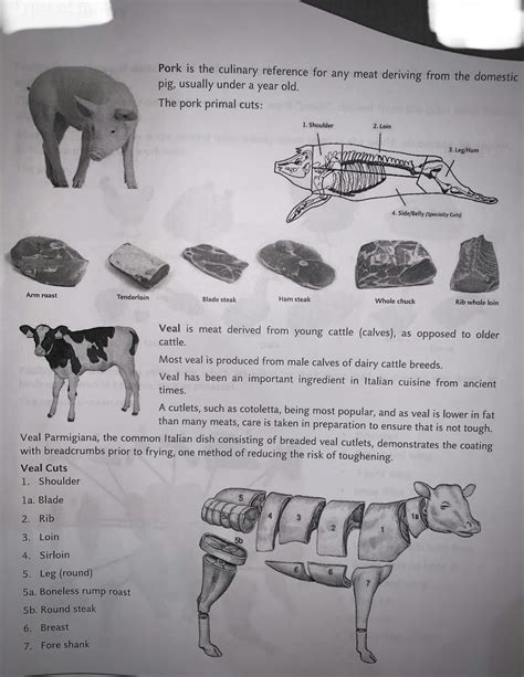 SOLUTION: Types of meat and poultry 1 - Studypool