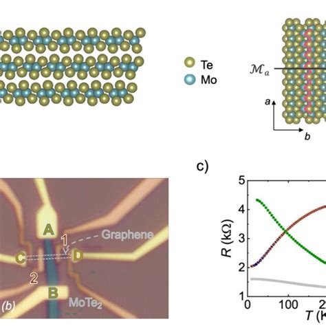 A Sketch Of The Mote2 Crystal Structure In The 1t Phase This Phase Download Scientific