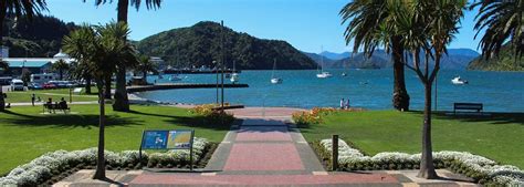 Picton Cruises Best New Zealand Cruises At Carnival