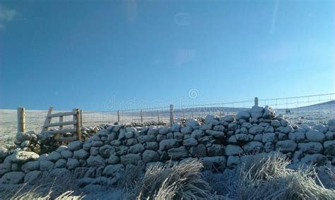 A Snowy Day in Scotland stock photo. Image of field, snowy - 87259378