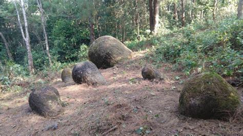 Forest Full Of Mysterious Prehistoric Giant Jars Discovered Newsweek