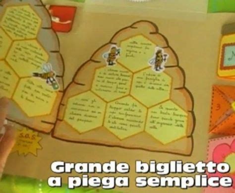 67 Fantastiche Immagini Su Lapbooks Lapbook Scuola E Istruzione