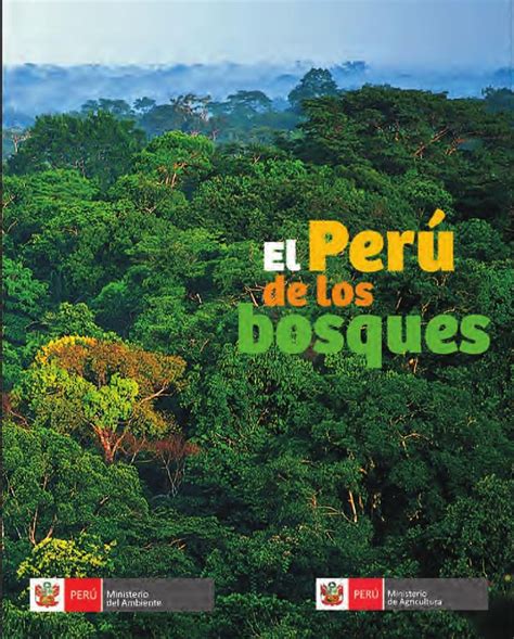 El Peru De Los Bosques Ecosistemas Bosque Bosque Tropical