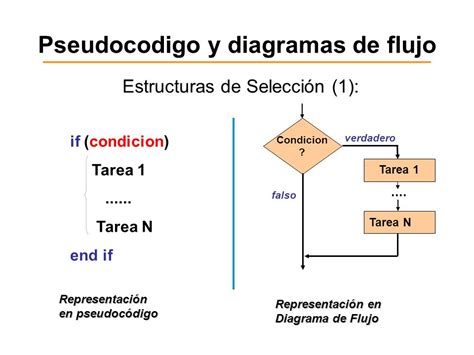 Algoritmos Diferencia Entre Pseudocodigo Y Diagrama De Flujo Porn Sex Hot Sex Picture