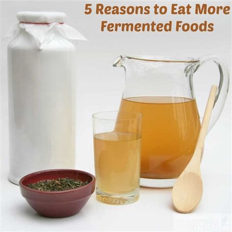 Reasons To Eat More Fermented Foods Gut Health Series