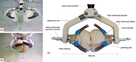 Advances In Deep Sea Sampling With Soft Robotics Noaa Ocean Exploration