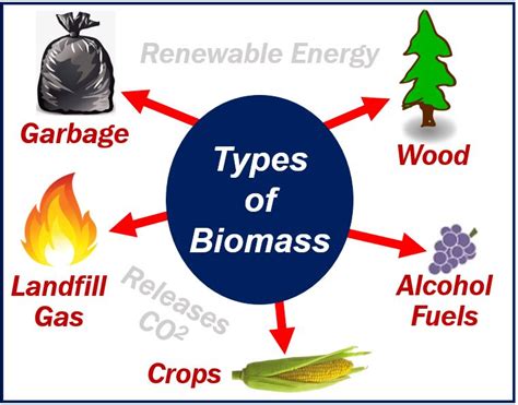 What Is Biomass Energy Definition And Some Examples