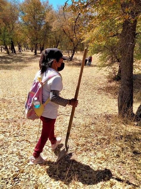 Hallan Madres Buscadoras Ocho Fosas Con Restos Humanos En Nogales