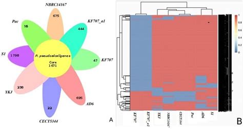 Plot Of The Core And Pan Genome And Venn Diagram For The Core Genome Download Scientific