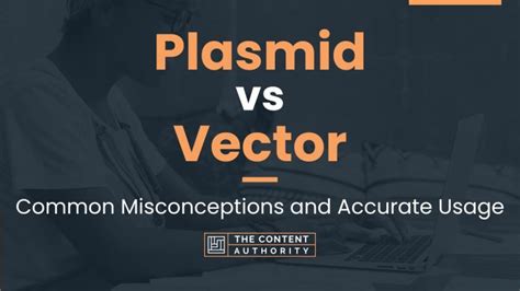 Plasmid Vs Vector Common Misconceptions And Accurate Usage