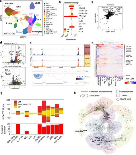 Scatac Seq Reveals Differential Tf Motif Accessibility Between