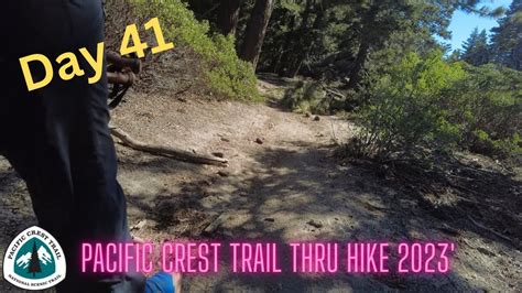 Pacific Crest Trail Thru Hike 2023 Day 41 Tent Site To Banning Backpacking Camping Hiking