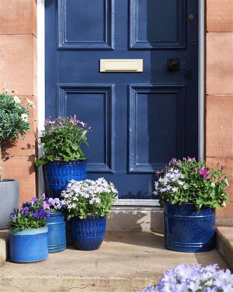 Front Door Planter Ideas With Serious Kerb Appeal Sleek Chic Interiors