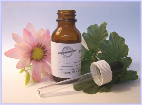 Bach Flower Remedies | SunSigns.Org