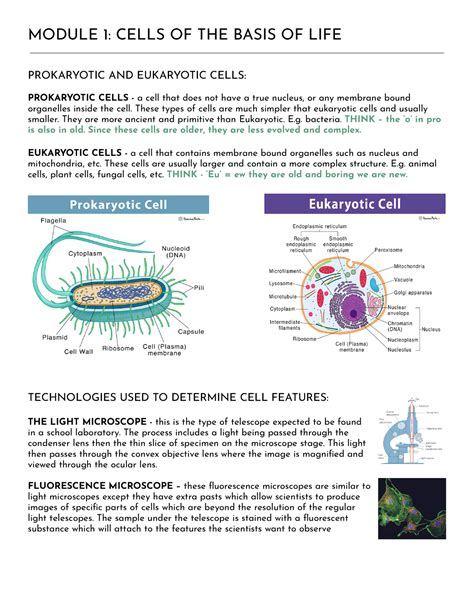 BIO Syllabus Notes MODULE 1 CELLS OF THE BASIS OF LIFE PROKARYOTIC