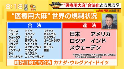 日本でも法改正検討“医療用大麻”の合法化 専門医が教える大麻の正しい知識｜tokyo Mx （プラス）