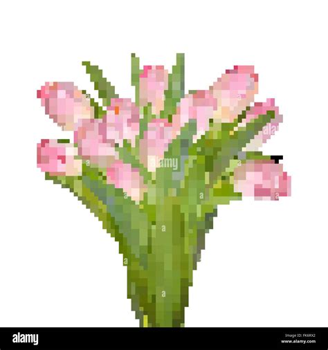 Tulips Decorative Border Eps Stock Vector Image Art Alamy