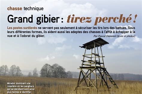 Grand Gibier Tirez Perché Le Chasseur Français