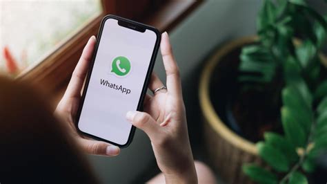 Whatsapp Email Verification Now Official See How To Verify