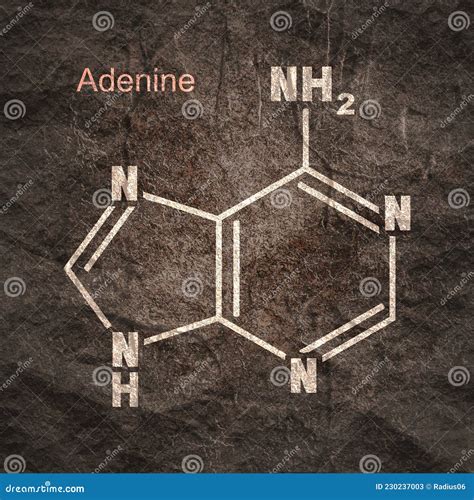 Chemical Structural Formula Of Adenine Dna And Rna Nitrogen Base