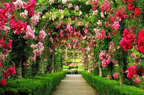 Gambar Taman Bunga yang Cantik | Taman indah, Ide berkebun, The secret ...