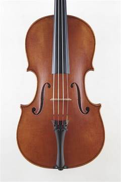 Viola Davis Net Worth