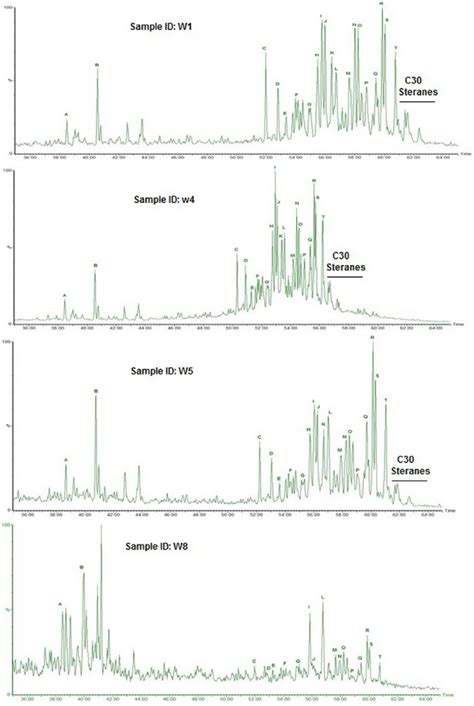 Representative Mass Chromatograms Mz 217 Showing The Distribution Download Scientific Diagram