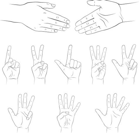 Set Of Female Beauty Hands Silhouette Royalty Free Vector