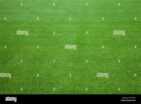 Football green grass background texture Stock Photo - Alamy