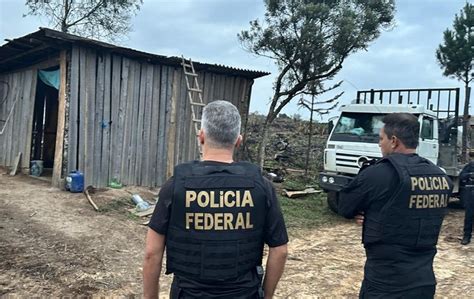 Pf Realiza Buscas Para Apurar Morte De Ind Gena Em Rea Sob Disputa No