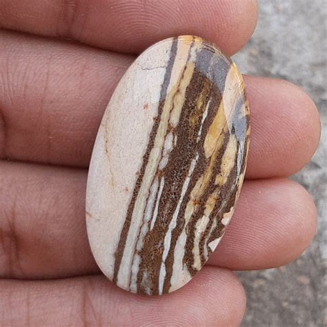 Brilliant Natural Zebra Jasper Cabochon Gemstone Zebra Jasper Etsy