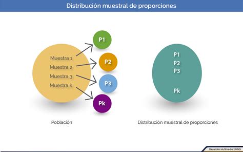 Distribuci N Muestral De La Proporci N Y Distribuci N Muestral De La