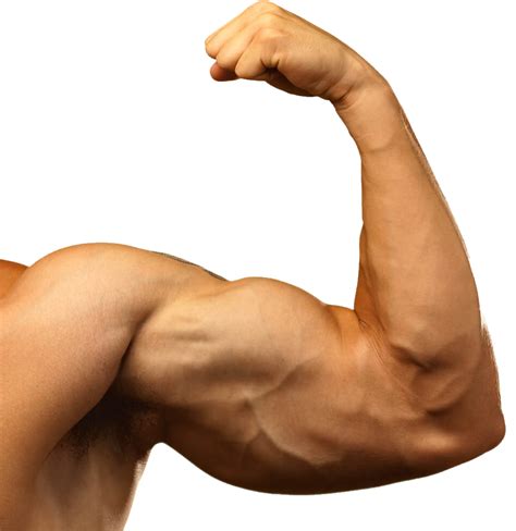 Muscle Arm Png Background Images